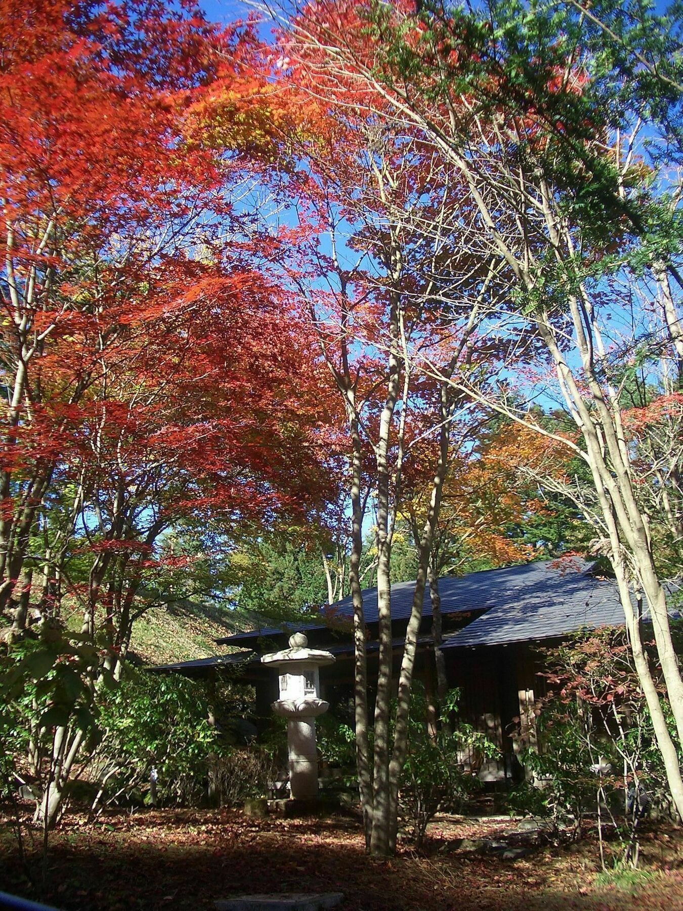 Hotel Shikitei Fujiyoshida Esterno foto